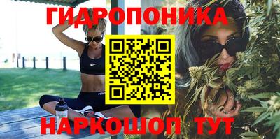 стафф Коммунар