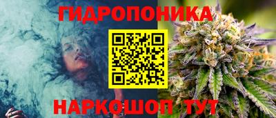 стафф Коммунар