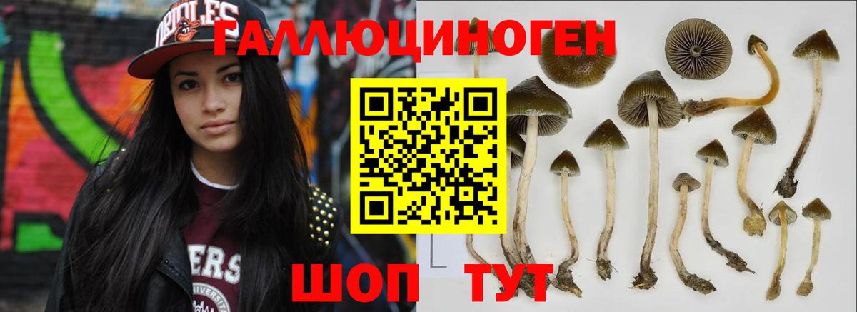 Псилоцибиновые грибы Cubensis  Вход с VPN  Галлюциногенные грибы GOLDEN TEACHER  Янаул 